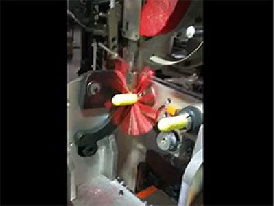 馬桶刷天花板刷植毛機